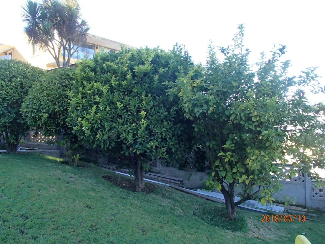 Hotel Camino Del Alto Vina del Mar Zewnętrze zdjęcie